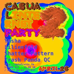 Mix for Casual Internet Party 2 on datafruits.fm
