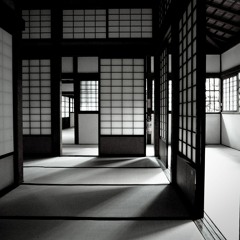 One Thing: In Praise of Shadows