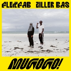 FlexFab & Ziller Bas - Shusha Faya Feat. Dickson
