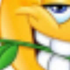 shiiko wasted love remix