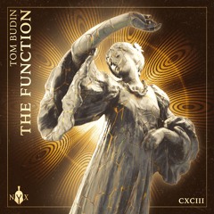 Tom Budin - The Function
