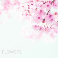 Skykot - Flowers (demo)