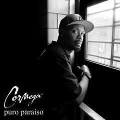 Pure Paradise (feat. Havoc)