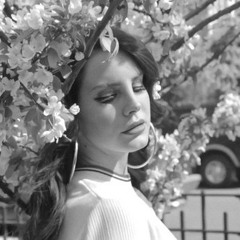 LDR - Brooklyn Baby (lofi remix)