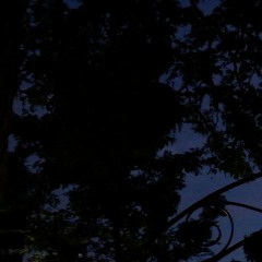 pang for_20211022