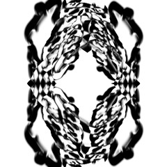 2025 12 28 小醜魚