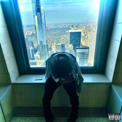 yanijag - fukyoarmor (p. thrty) [@STONEDEF EXCLUSIVE]