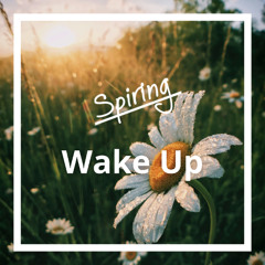 Spiring - Wake Up