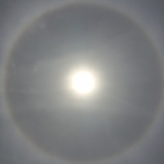 In These Arms - A Song for All Beings by Jennifer Berezan