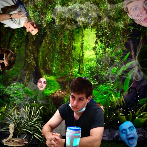 Manor North - The Jungle Mix