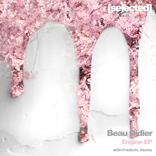 BCCO Premiere: Beau Didier - If You Can [SELECTED015]