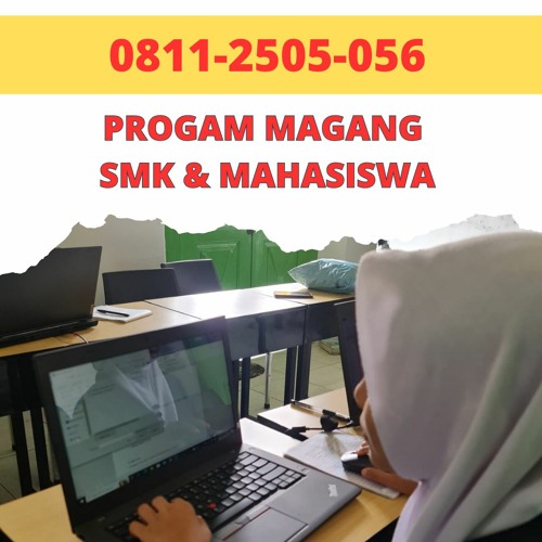 stream-call-0811-2505-056-tempat-magang-digital-marketing-melayani