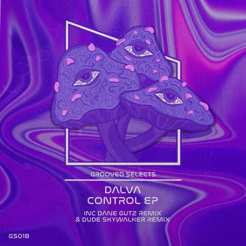 DALVA - CONTROL (DANE GUTZ REMIX)