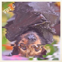 Viral Bat Tapes  - VBT 6