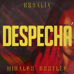 DESPECHÁ TECHNO (Hidalgo Bootleg)(FREE DOWNLOAD)