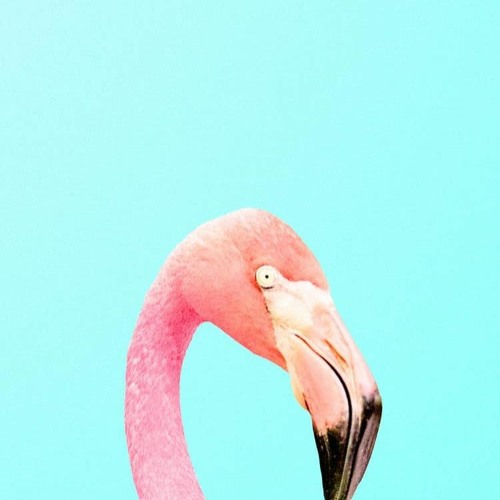 SUNSET VIBES 21 YANIV DANAN