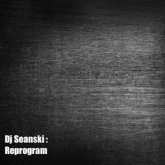 Dj Seanski - Reprogram (Mixtape)Rare Grooves