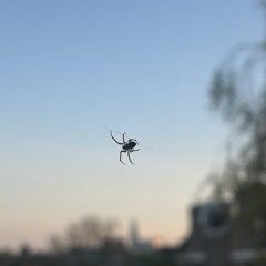 ‘Temporarily lost’ Mixtape