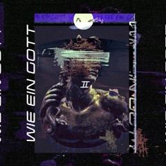 NZM 99 - Acid Cover [GOTT08 | Premiere]