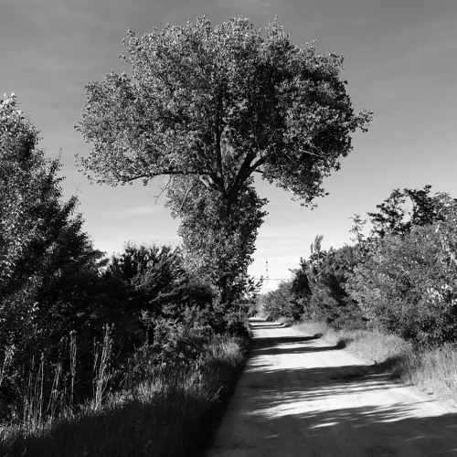 The Runner (recomposed by Nlaslow)