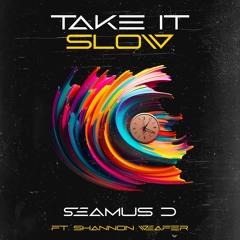 Take It Slow (ft. Shannon Weafer)