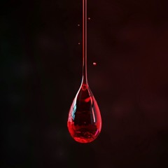 Ran-Dee - Blood Brothers (Instrumental)