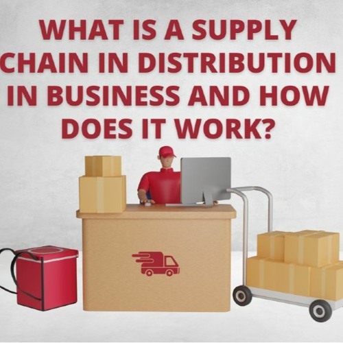 Stream Understanding the Supply Chain in Distribution in Business by