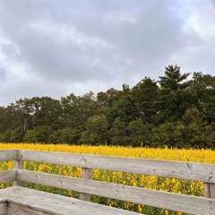 spoiling me - abby powledge