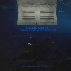 Birds of a Feather (PVNDVMONIUM 'Easy' Flip)