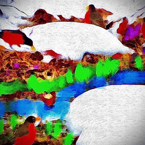 Robins' Spring [Joakim Lartey, Chris Lane, Thomas Workman]