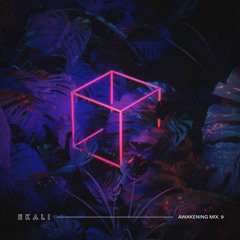 ISOxo vs. RÜFÜS DU SOL - Chamber vs. Innerbloom (Ekali Edit)