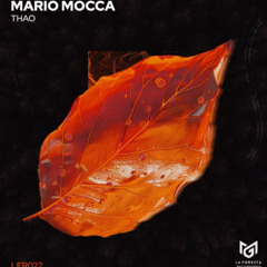Mario Mocca - Thao [La Foresta Recordings]