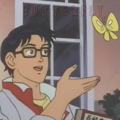 butterfly