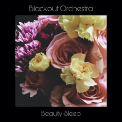 Blackout Orchestra - Flowers [taken from the new album Beauty Sleep]