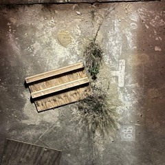 not our world part I & II(disquiet0531)