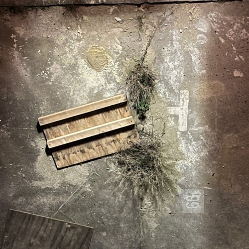 not our world part I & II(disquiet0531)