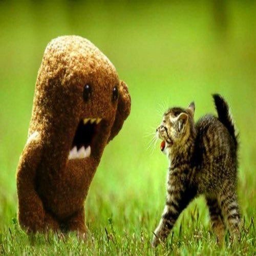 O̿̅ͫ̐͆ͪ̂ͤ̚͢C̵̶̠͔̬̞̤̟̯͉̟̗̘̽̂͑ͮͪ̀̽͆̉̇̑͂͊́͑̌͢͠T͚ビート W/ @QwW @DEX.0NLINE @RENNYG + ₥⌾☈ℇ