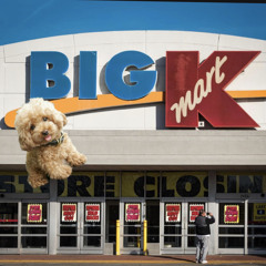 K-Mart Chronicals