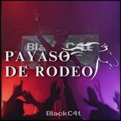 Payaso De Rodeo