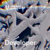 MNMT 399 : Developer (NYE Mix) DJ mix artwork - Electronic music tracklist cover image