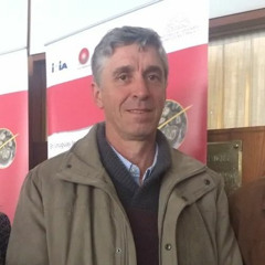 Fernando Dutra da Silveira - Merino Australiano