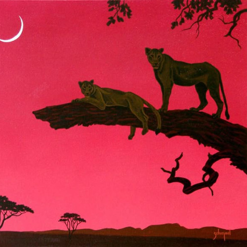 devuncho Two Tone prod icyjon