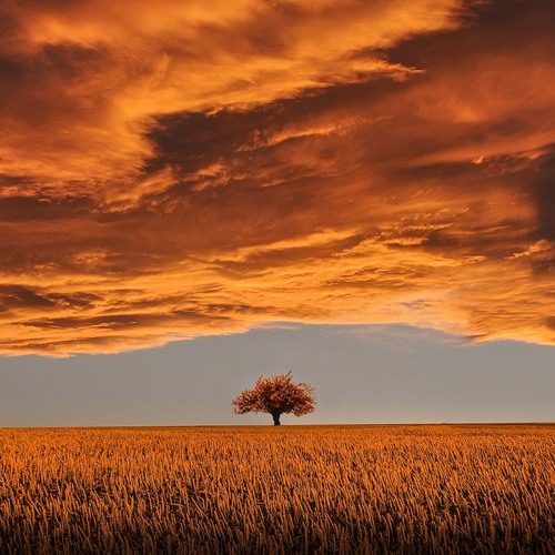 Elys & NRT:K - Touch The Sky