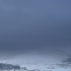 ↓↓↓ph 🌀 ver1.1 demo