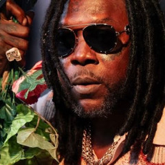 Vybz Kartel - Picture Me and You Remix Sean Kingston - There's Nothin