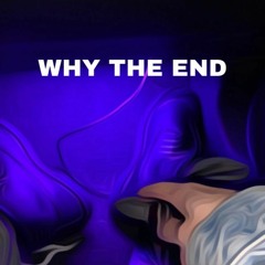 WHY THE END FREESTYLE (Prod. grimacetrap)