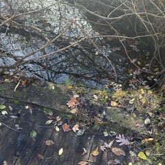 Get back to it p. (everydaysinner)