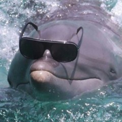 Beat Circus BootyBash - March '25