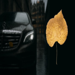 ты рисуешь осень