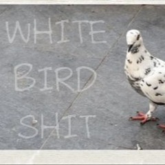 WHITE BIRD SHIT